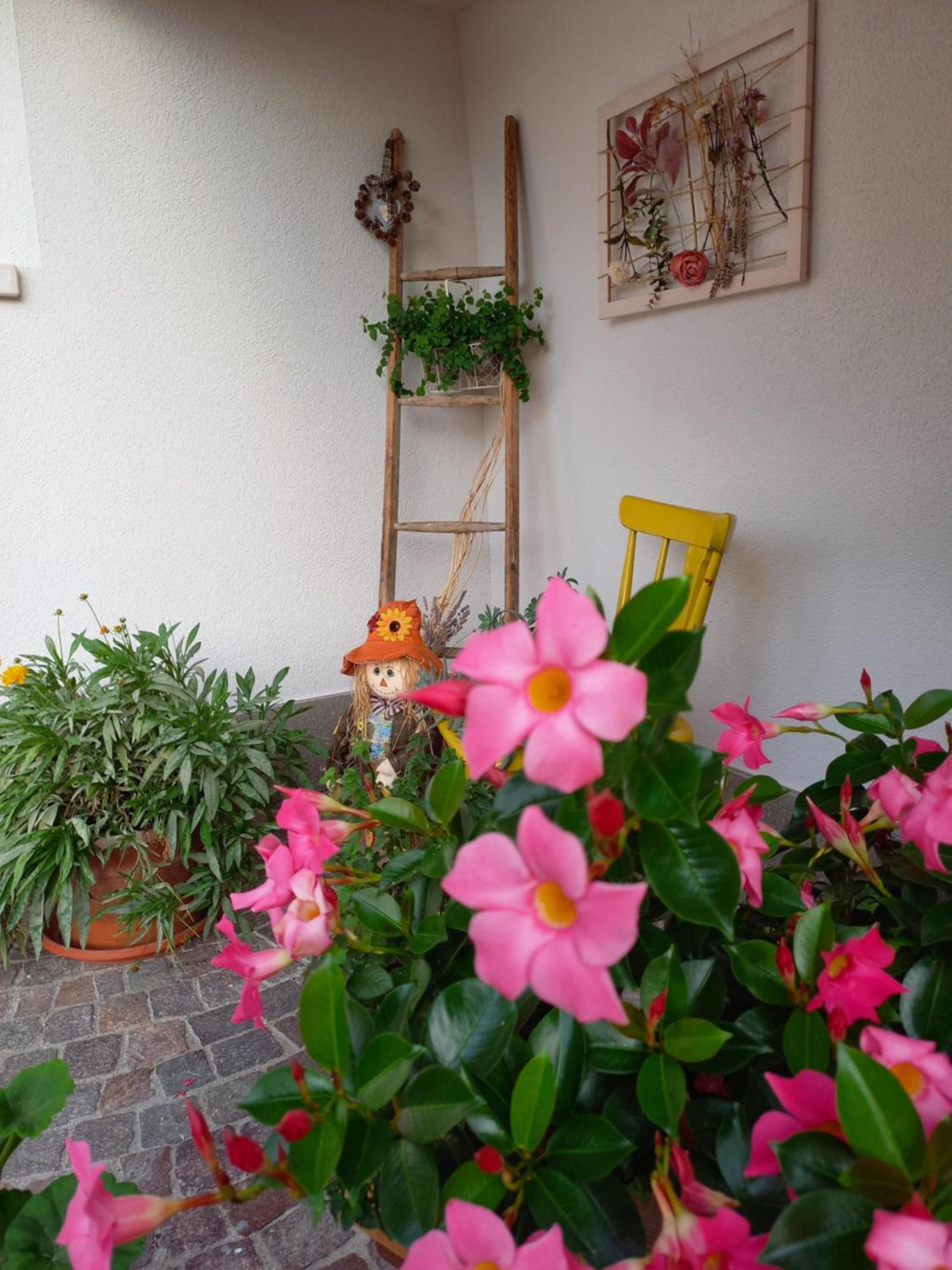 Casa Vacanze Paola Romeno ภายนอก รูปภาพ